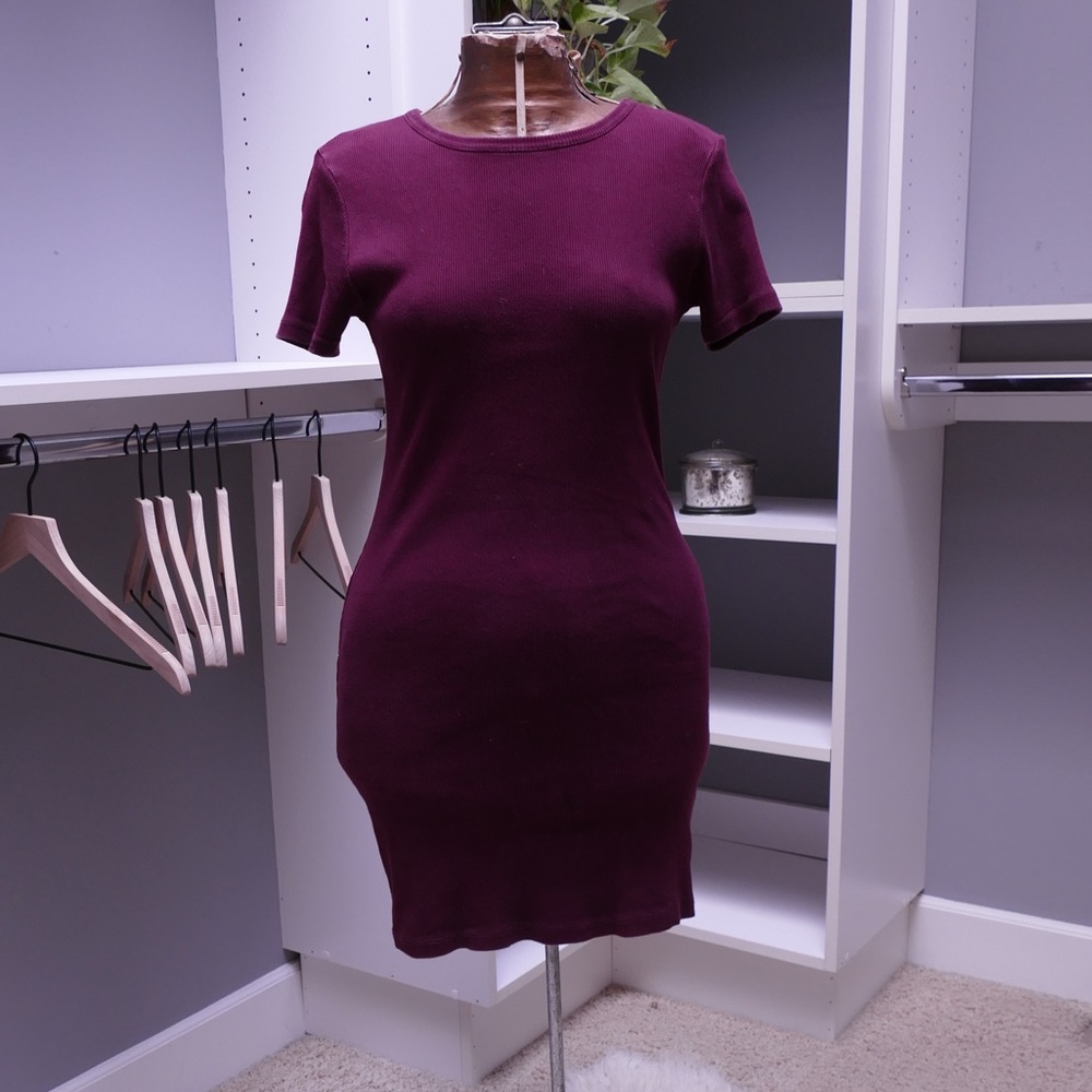 Brandy Melville Maroon Bodycon Dress
